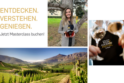 Jetzt Masterclass buchen: Weinwissen direkt vom Profi 
