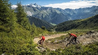 Trailvergnügen in allen Schwierigkeitsstufen erwartet Mountainbiker im Bikerevier Kals-Matrei in Osttirol