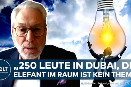 Grünen-Chefin Ricarda Lang hat die deutsche Delegationsgröße bei der Klimakonferenz in Dubai verteidigt. 