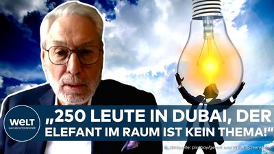 Grünen-Chefin Ricarda Lang hat die deutsche Delegationsgröße bei der Klimakonferenz in Dubai verteidigt. 