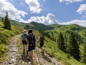 Weit wandern: Auf dem Wildschönauer Höhenweg