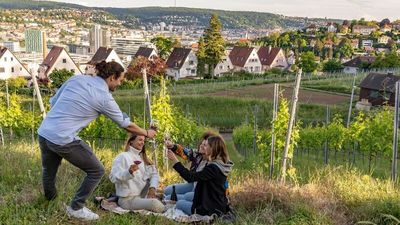 Kesselblick: Studenten, Familien, Pärchen und Freunde genießen die Aussicht auf Stuttgart bei einem Picknick zwischen den Reben mit regionalem Wein