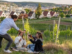 Kesselblick: Studenten, Familien, Pärchen und Freunde genießen die Aussicht auf Stuttgart bei einem Picknick zwischen den Reben mit regionalem Wein Kesselblick: Studenten, Familien, Pärchen und Freunde genießen die Aussicht auf Stuttgart bei einem Picknick zwischen den Reben mit regionalem Wein