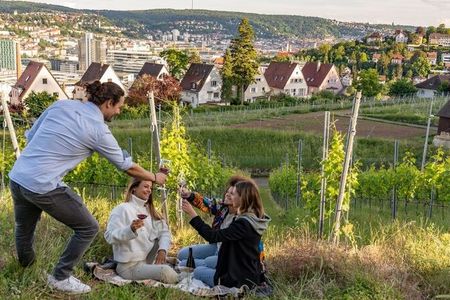 Kesselblick: Studenten, Familien, Pärchen und Freunde genießen die Aussicht auf Stuttgart bei einem Picknick zwischen den Reben mit regionalem Wein