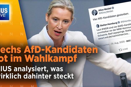 Aber das Sterben geht weiter