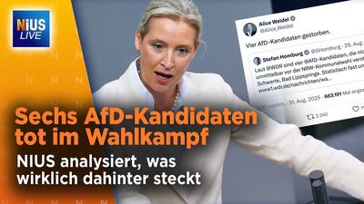 Aber das Sterben geht weiter
