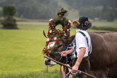 Kranzrind beim Viehscheid