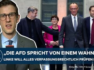 Alice Weidel nennt Merz „Totengräber der Schuldenbremse“ Alice Weidel nennt Merz „Totengräber der Schuldenbremse“