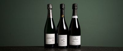 Champagner entdecken und genießen – mit exklusiven Entdecker-Paketen von ‚einfach geniessen' für zu Hause