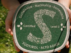 Für das Nachhaltigkeitslabel nach Südtirol Standard gibt es insgesamt drei Zertifizierungsstufen. Nur das höchste Level wird auch vom Global Sustainable Tourism Council (GSTC) anerkannt Für das Nachhaltigkeitslabel nach Südtirol Standard gibt es insgesamt drei Zertifizierungsstufen. Nur das höchste Level wird auch vom Global Sustainable Tourism Council (GSTC) anerkannt