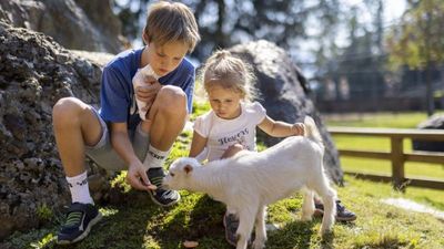Hauskaninchen, Zwergziegen, Lämmchen und viele weitere Tiere zum Streicheln und Anfassen erwarten die Kleinen auf der Moosalm