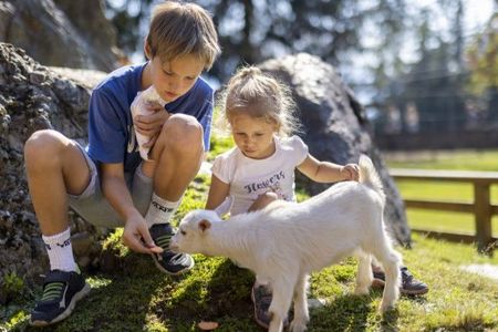 Hauskaninchen, Zwergziegen, Lämmchen und viele weitere Tiere zum Streicheln und Anfassen erwarten die Kleinen auf der Moosalm
