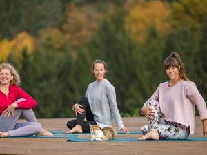 Beim Kleebauer Yoga Festival in Oberösterreich Anfang März leitet ein Team aus zehn Expertinnen und einem Experten durch über 50 Workshops an drei Tagen, die allesamt die Harmonie von Körper, Geist und Seele in den Mittelpunkt stellen Beim Kleebauer Yoga Festival in Oberösterreich Anfang März leitet ein Team aus zehn Expertinnen und einem Experten durch über 50 Workshops an drei Tagen, die allesamt die Harmonie von Körper, Geist und Seele in den Mittelpunkt stellen
