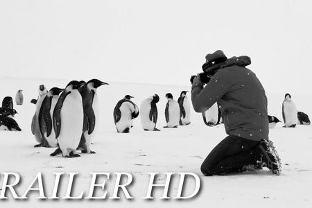 RÜCKKEHR ZUM LAND DER PINGUINE startet am 15. Februar 2024 bundesweit in den Kinos