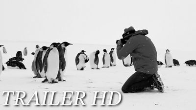 RÜCKKEHR ZUM LAND DER PINGUINE startet am 15. Februar 2024 bundesweit in den Kinos