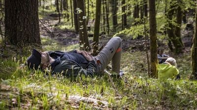 Der erste wissenschaftlich zertifizierte Bergkurwald in Deutschland befindet sich im oberbayerischen Bad Reichenhall