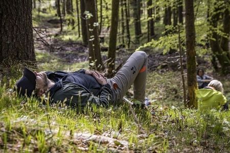 Der erste wissenschaftlich zertifizierte Bergkurwald in Deutschland befindet sich im oberbayerischen Bad Reichenhall