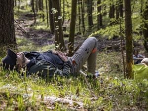Der erste wissenschaftlich zertifizierte Bergkurwald in Deutschland befindet sich im oberbayerischen Bad Reichenhall