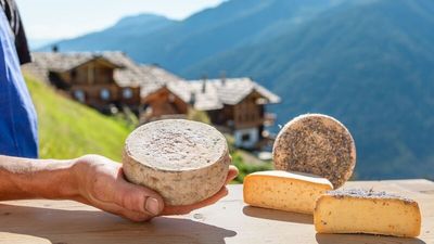 Genießer finden in der „Roter Hahn“-Broschüre „Qualitätsprodukte vom Bauern 2027“ über 900 Lebensmittel mit dem Gütesiegel des Südtiroler Bauernbunds