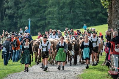 Mit dem traditionellen Viehscheid beginnt der Herbst im Allgäu