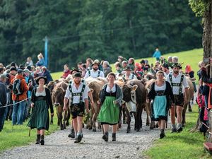 Mit dem traditionellen Viehscheid beginnt der Herbst im Allgäu Mit dem traditionellen Viehscheid beginnt der Herbst im Allgäu