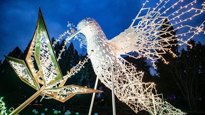 Der handgefertigte Kolibri bildet das Keyvisual im Lumagica-Lichtpark in den Gärten von Schloss Trauttmansdorff nicht weit von der Südtiroler Gemeinde Schenna bei Meran