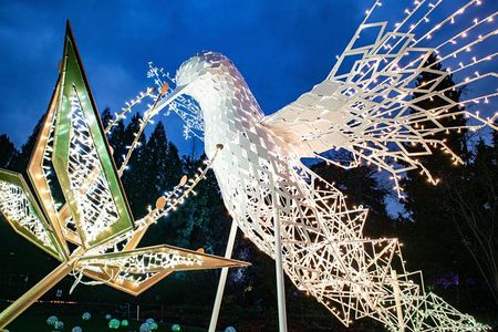 Der handgefertigte Kolibri bildet das Keyvisual im Lumagica-Lichtpark in den Gärten von Schloss Trauttmansdorff nicht weit von der Südtiroler Gemeinde Schenna bei Meran