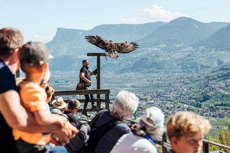 Drei Generationen im Urlaub vereint: Rund um das Hotel Laurin im Südtiroler Dorf Tirol genießen Familien gemeinsame Zeit, etwa bei einer Greifvogel-Flugschau
