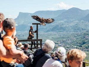 Drei Generationen im Urlaub vereint: Rund um das Hotel Laurin im Südtiroler Dorf Tirol genießen Familien gemeinsame Zeit, etwa bei einer Greifvogel-Flugschau Drei Generationen im Urlaub vereint: Rund um das Hotel Laurin im Südtiroler Dorf Tirol genießen Familien gemeinsame Zeit, etwa bei einer Greifvogel-Flugschau