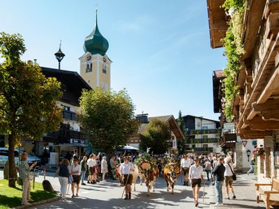 Das Vieh ist mit Tannengrün, bunten Bändern, Glocken und Alpenblumen prächtig geschmückt