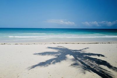 Der lauwarme Indische Ozean, Palmen, Riffe, das ist Diani Beach