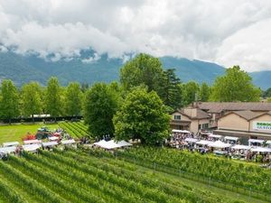 Am 2. Juni 2024 zeigen die besten Köche der Schweiz an gut 50 Ständen des „Mercato del Gusto“ im Tessiner Lugano ihre Signature-Produkte und -Kreationen Am 2. Juni 2024 zeigen die besten Köche der Schweiz an gut 50 Ständen des „Mercato del Gusto“ im Tessiner Lugano ihre Signature-Produkte und -Kreationen