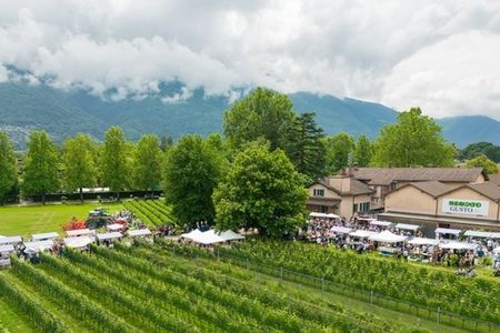 Am 2. Juni 2024 zeigen die besten Köche der Schweiz an gut 50 Ständen des „Mercato del Gusto“ im Tessiner Lugano ihre Signature-Produkte und -Kreationen