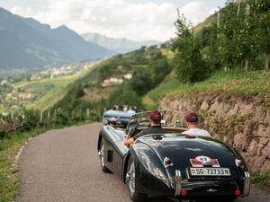 Neben herausfordernden Bergstraßen sind genussvolle Fahrten durch Apfelgärten und Weinberge fester Bestandteil der Oldtimer-Rallye „Südtirol Classic Schenna“ Neben herausfordernden Bergstraßen sind genussvolle Fahrten durch Apfelgärten und Weinberge fester Bestandteil der Oldtimer-Rallye „Südtirol Classic Schenna“