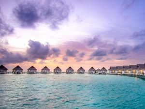 Alles vom Feinsten im Süd-Ari-Atoll – die Overwater Villas im Centara Grand Island Resort & Spa Maldives überzeugen nicht nur das Sternzeichen Löwe mit einem direkten Zugang zur Unterwasserwelt des Indischen Ozeans