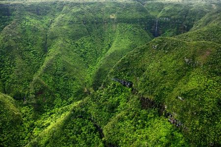 Naturschätze von Mauritius - Die faszinierenden Nationalparks