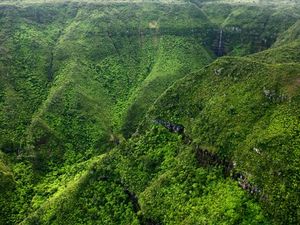 Naturschätze von Mauritius - Die faszinierenden Nationalparks Naturschätze von Mauritius - Die faszinierenden Nationalparks