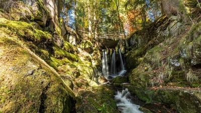 Entlang der rauschenden Alb: Albsteig-Wanderer genießen die Ein- und Ausblicke auf enge Schluchten und weite Schwarzwälder Landschaften gleichermaßen