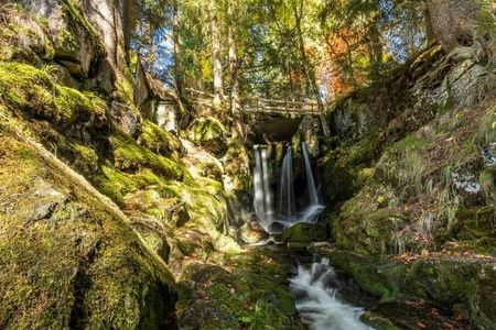 Entlang der rauschenden Alb: Albsteig-Wanderer genießen die Ein- und Ausblicke auf enge Schluchten und weite Schwarzwälder Landschaften gleichermaßen