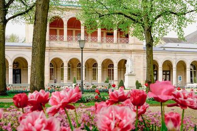 Frühlingsmarkt und Max Fest im schönen Bad Kissingen 2024