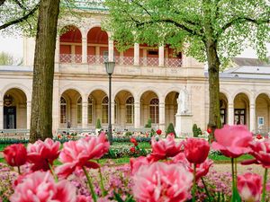 Frühlingsmarkt und Max Fest im schönen Bad Kissingen 2024 Frühlingsmarkt und Max Fest im schönen Bad Kissingen 2024