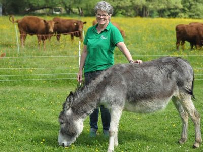 Bei Margit Leimberger von Fischbeck’s Erlebnisbauernhof kann man auch Eselwanderungen ohne Begleitung, dafür mit Picknick buchen