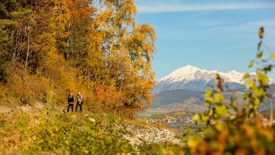 Solche Aussichten sind auf dem Südtiroler Keschtnweg mehr Regel als Ausnahme