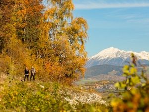 Solche Aussichten sind auf dem Südtiroler Keschtnweg mehr Regel als Ausnahme Solche Aussichten sind auf dem Südtiroler Keschtnweg mehr Regel als Ausnahme