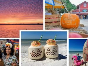 Halloween auf den Bradenton Gulf Islands