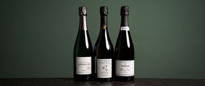 Drei Champagner – ein Silvester voller Glanz und Genuss