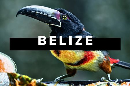 Belizes Nationalpark: Wilde Natur und Maya-Kultur