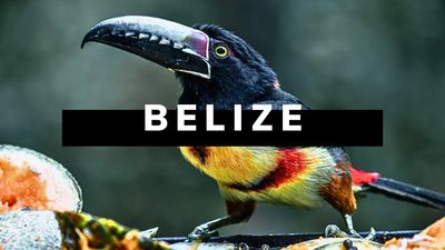 Belizes Nationalpark: Wilde Natur und Maya-Kultur