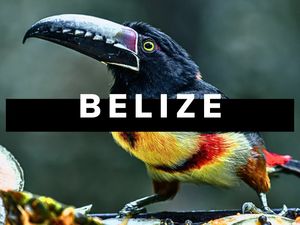 Belizes Nationalpark: Wilde Natur und Maya-Kultur