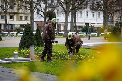 Frühlingsbepflanzung 2025 in Bad Kissingen